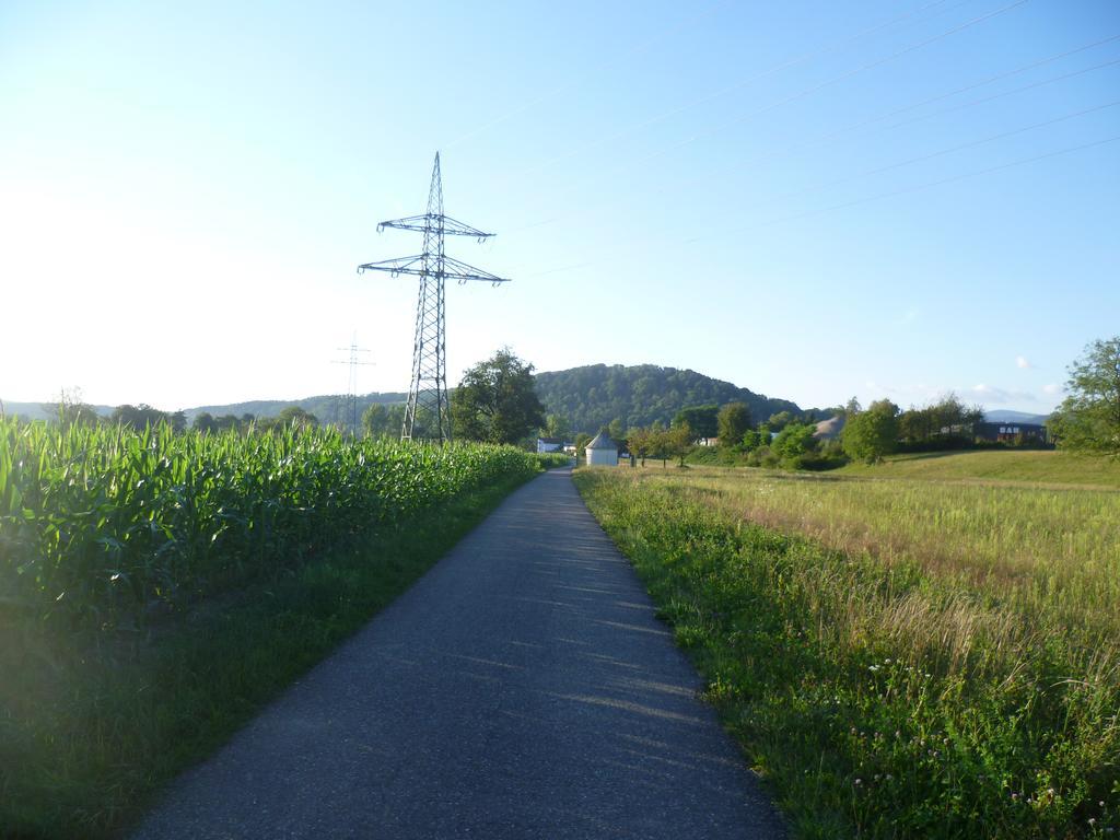 Storchennest Apartman Bad Säckingen Kültér fotó