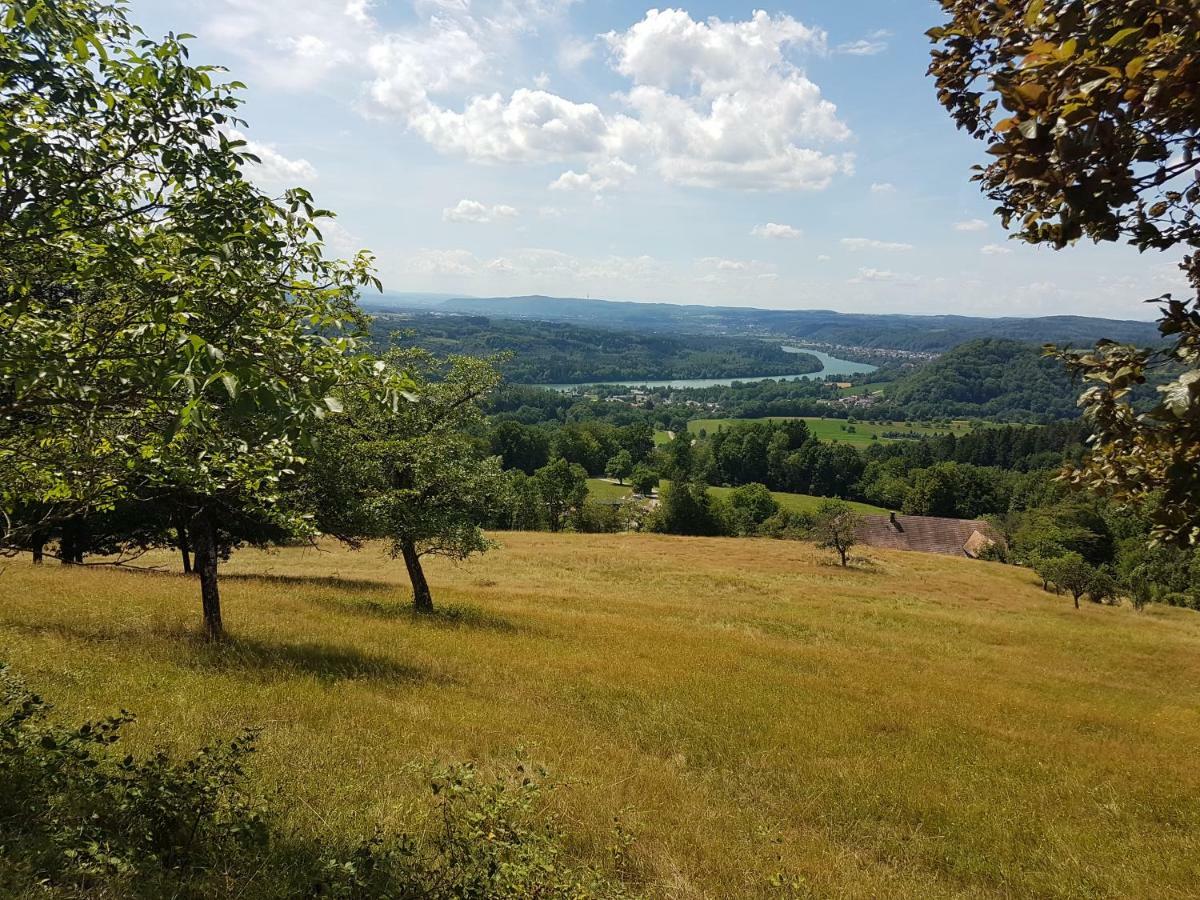Storchennest Apartman Bad Säckingen Kültér fotó